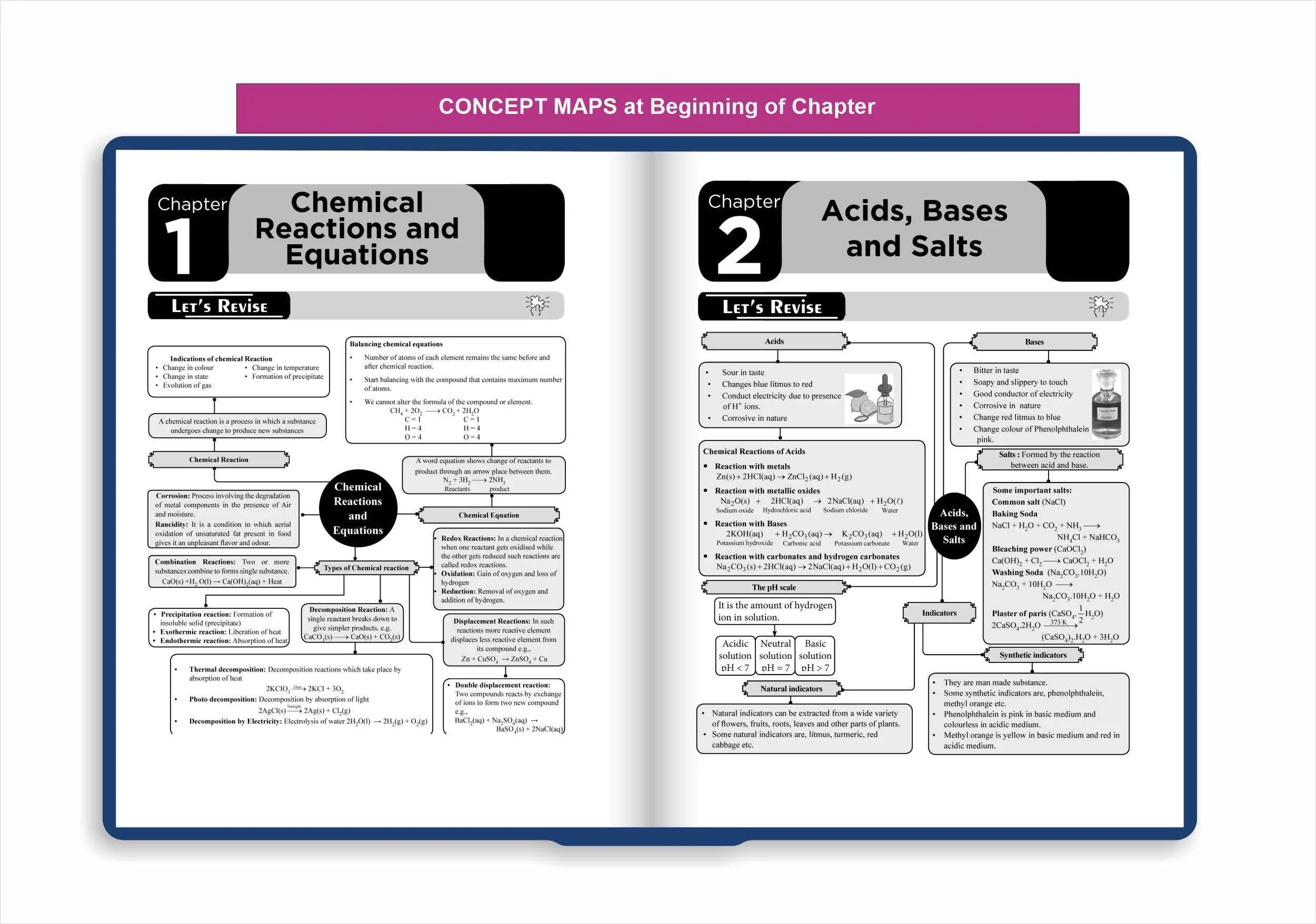 Disha Combo (set of 2 Books) WINR Series CBSE Class 10 Science & Mathematics Chapter-wise Objective & Subjective Question Bank | New Syllabus | For 2026 Exam | Fully Solved | Competency (CFPQ) Questions - Image 6