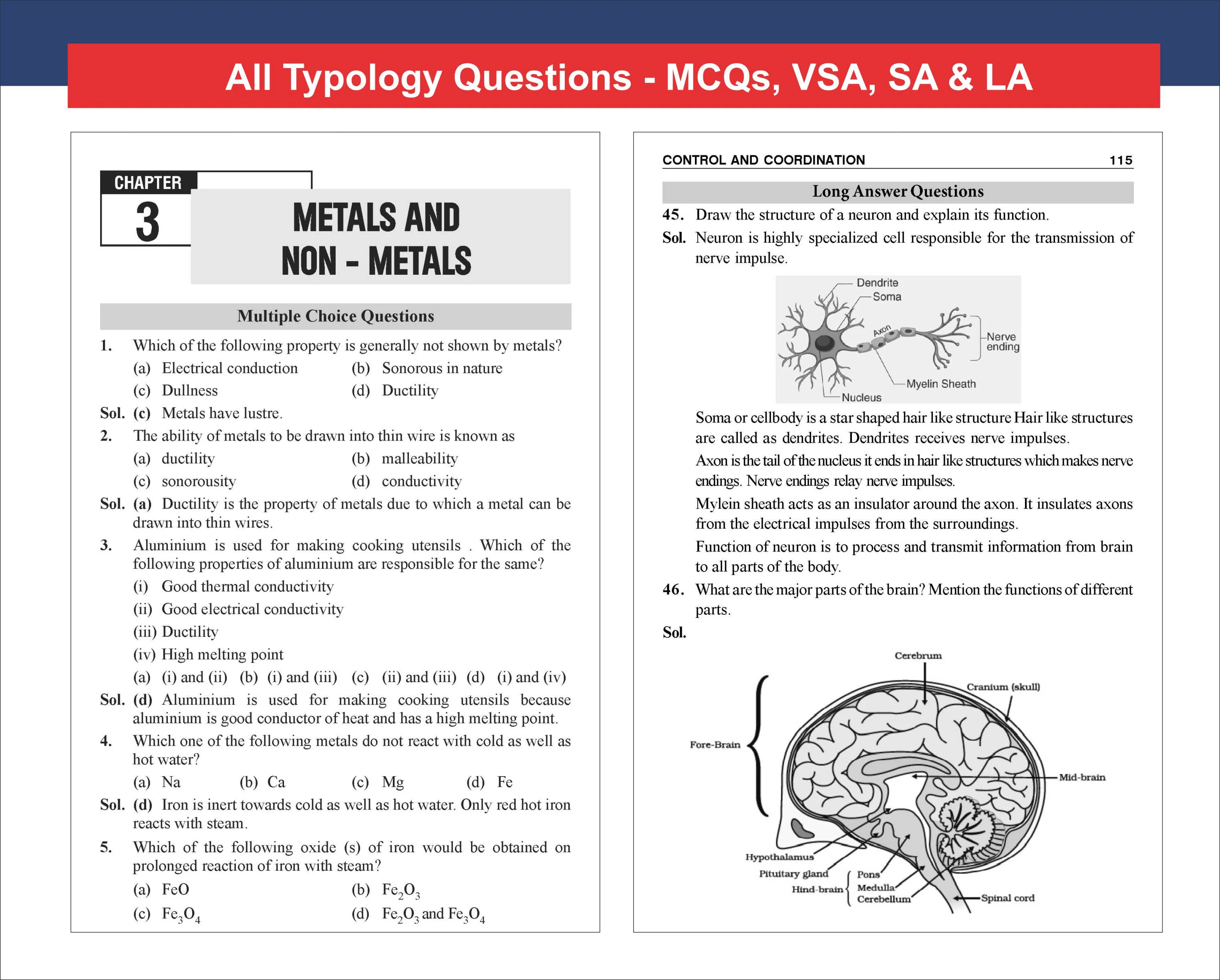 Disha TopperX NCERT Class 10 Science Exemplar Solutions Book for Board Exam 2027 - Image 8